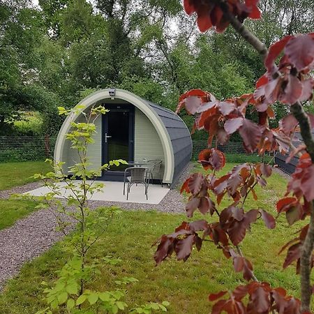 Mount Hillary Holiday Pods Cork Exterior photo